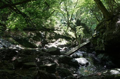 板敷渓谷遊歩道橋