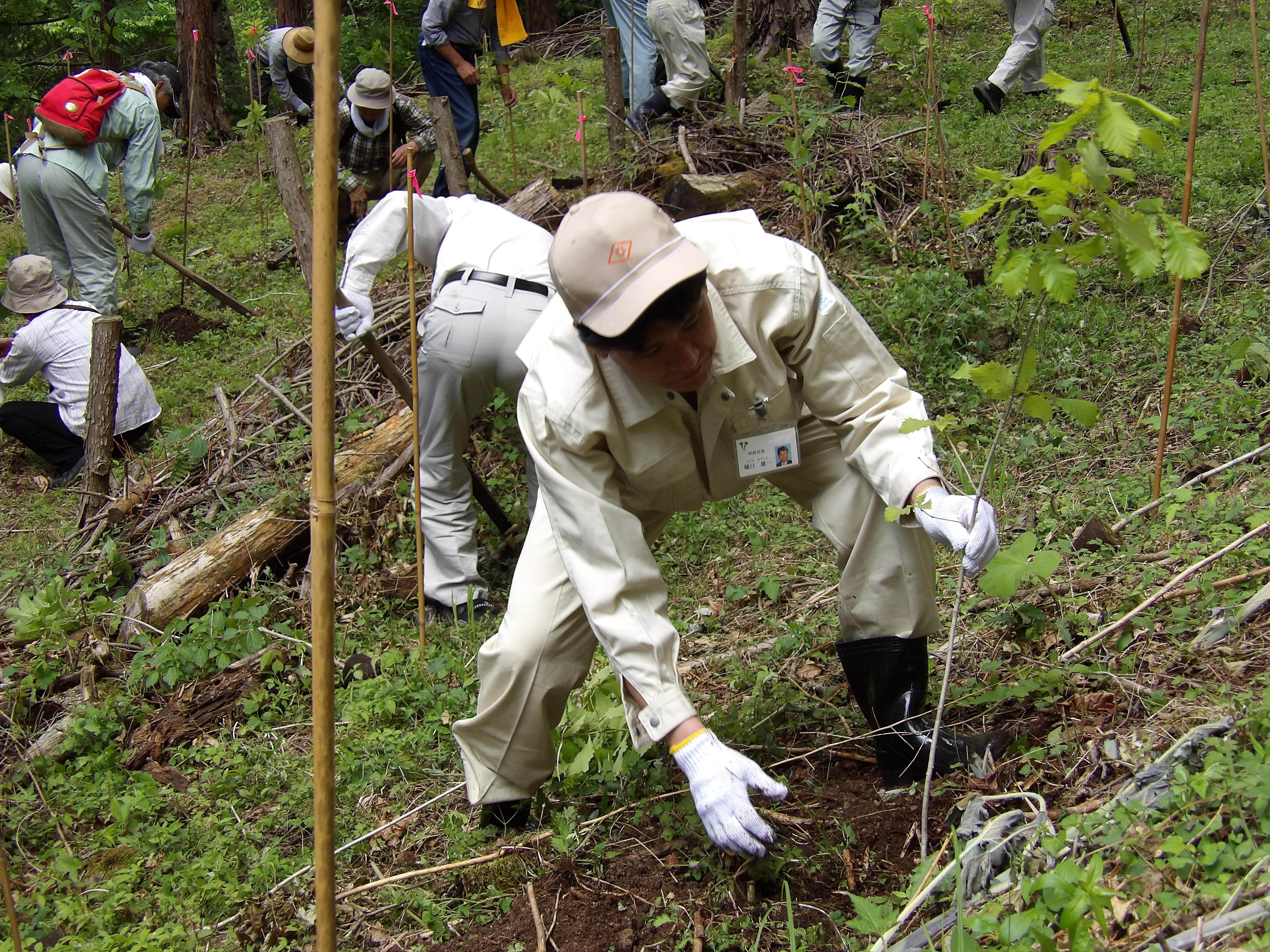 平成27年度水源林植樹の集い2
