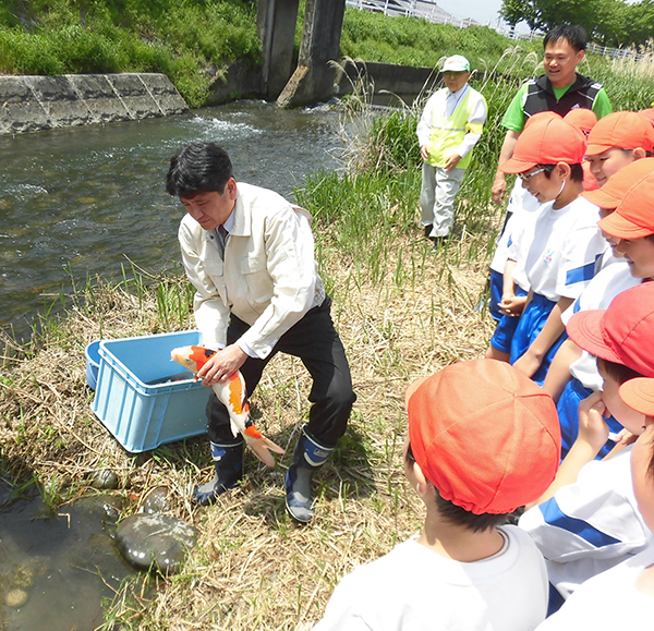 5月2日 認定NPO法人「未来の荒川をつくる会」主催 第8回「錦鯉」の放流の写真3