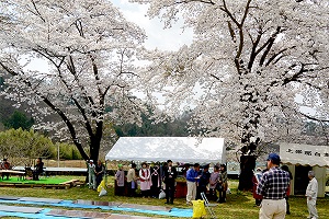 4月15日 菜の花鑑賞会の写真2