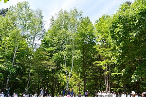 6月3日 水源林植樹の集いの写真4