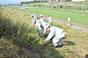 7月7日 荒川河川清掃の写真2