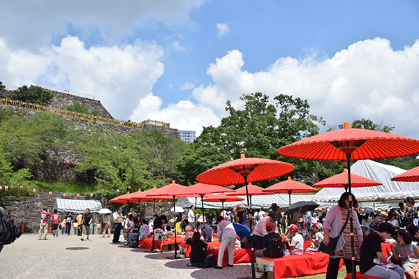 8月11日 小江戸甲府の夏祭りの写真2