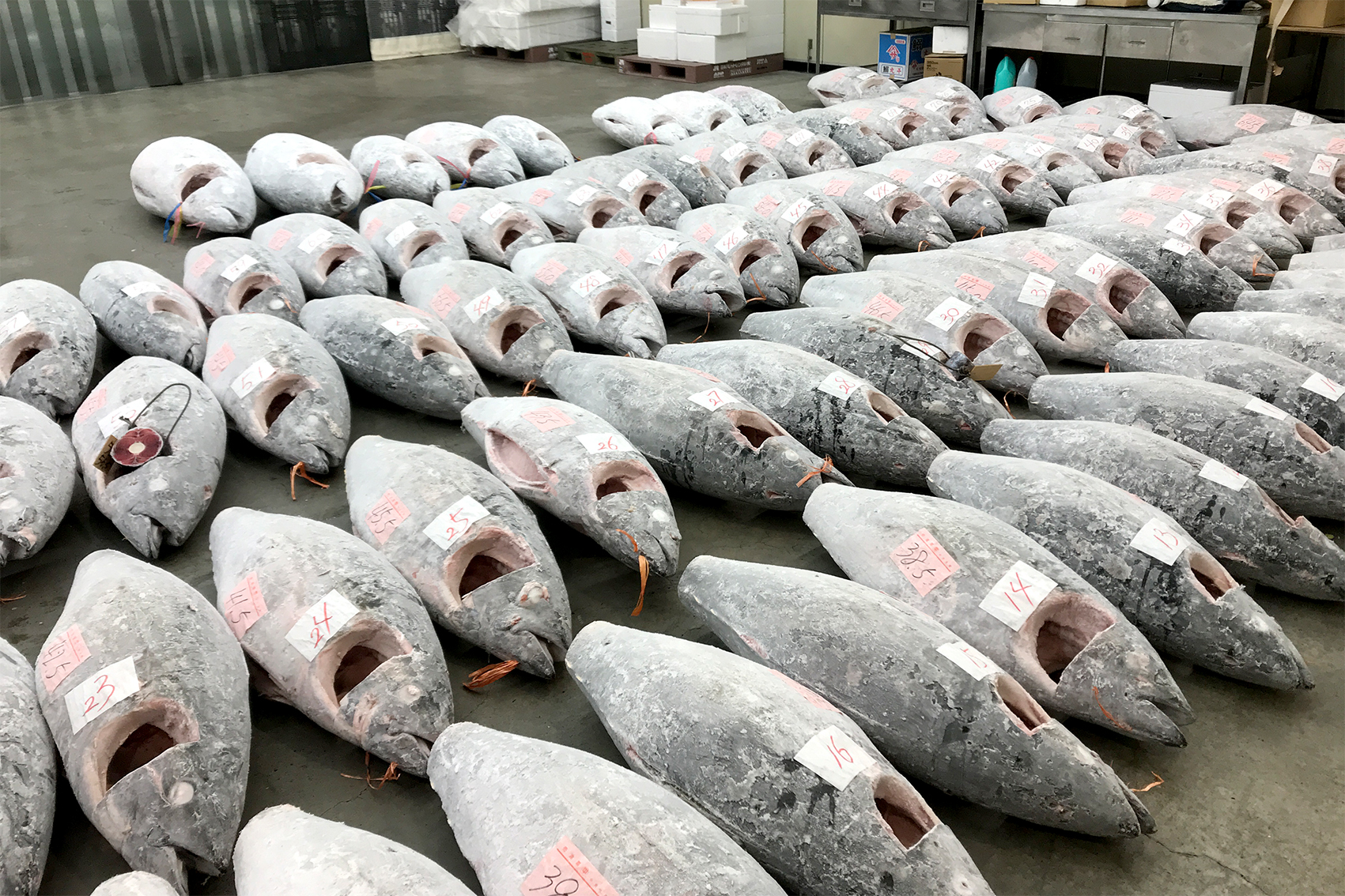 1月5日 甲府市地方卸売市場 初市互例会の写真2