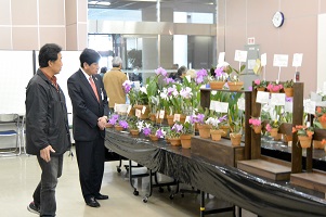 1月21日 山梨洋蘭愛好会「第35回新春洋蘭展」の写真1