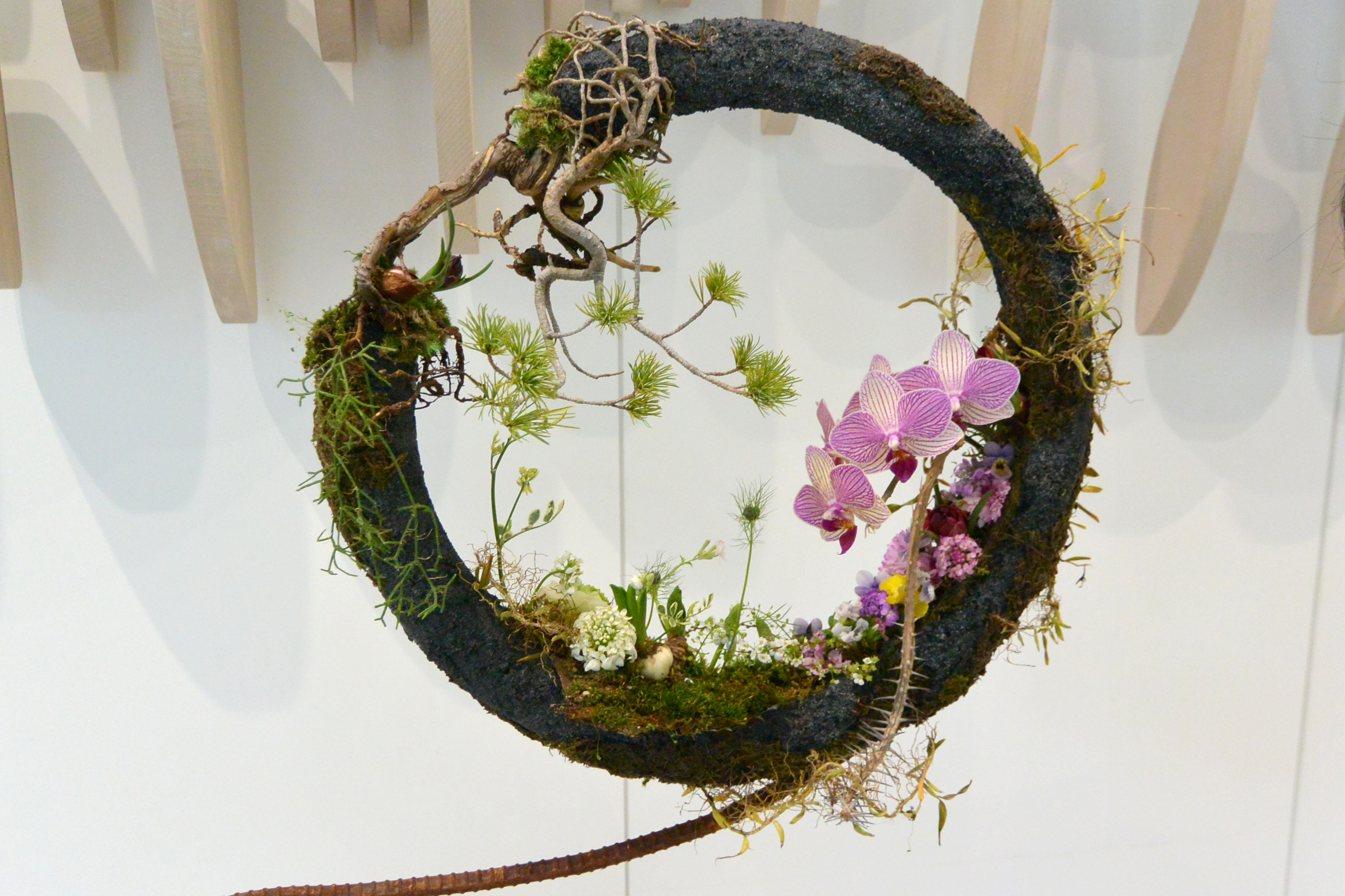 2月8日 第67回関東東海花の展覧会 フラワーデザイン コンテスト 金賞受賞の写真1