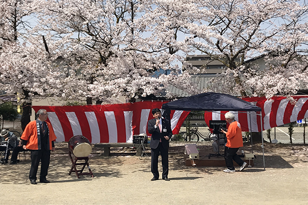 石田お俵連 桜まつりの写真1