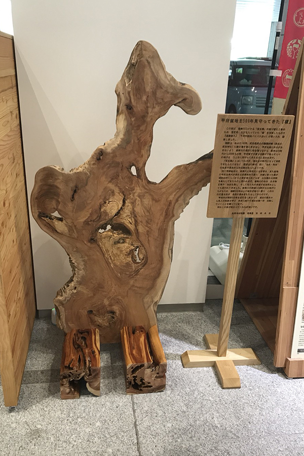 甲府盆地を500年見守ってきた欅の写真2