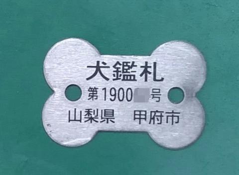 鑑札