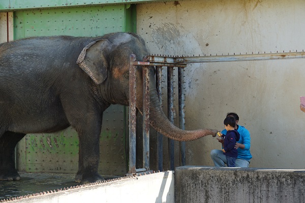甲府市遊亀公園附属動物園開園100周年記念イベントの写真3