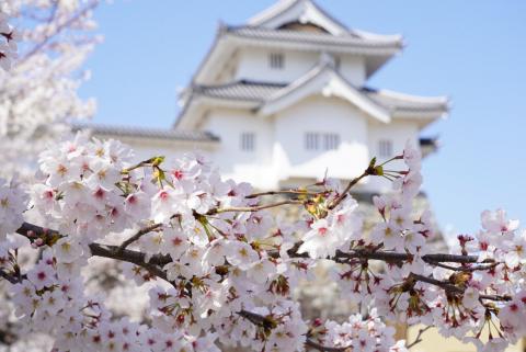 舞鶴城公園3