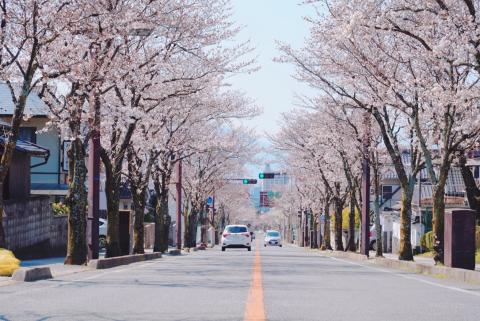 武田通り