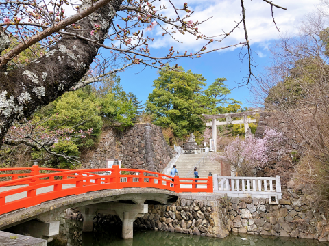 武田神社