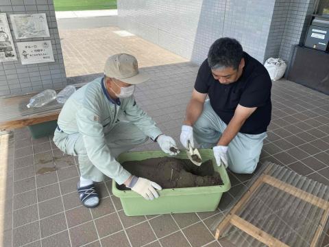 作業