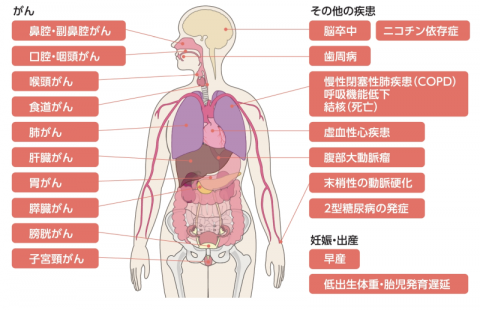 たばこの影響