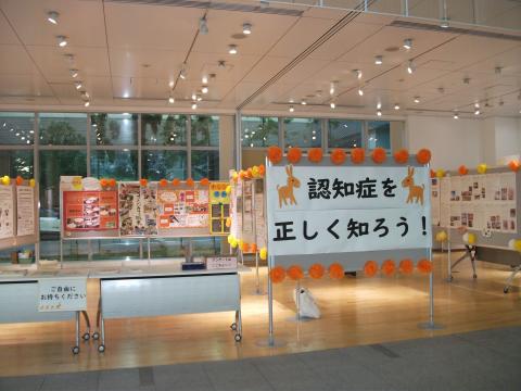 展示1