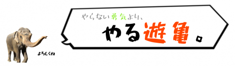 やらない勇気より、やる遊亀。