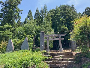 ふれあいウォーキング大会1