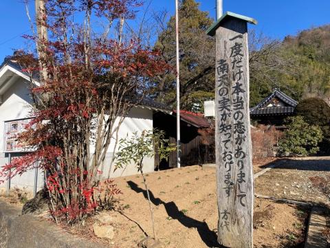 中道地区10
