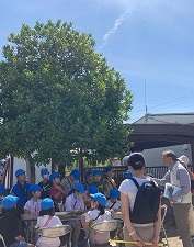 大国地区3