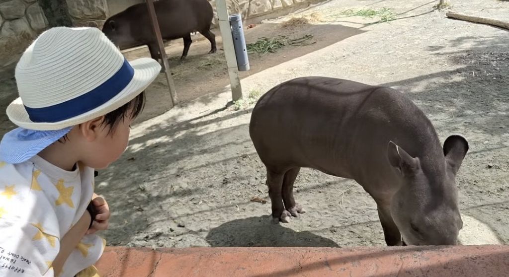 バク開園