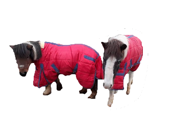 ポニー馬着