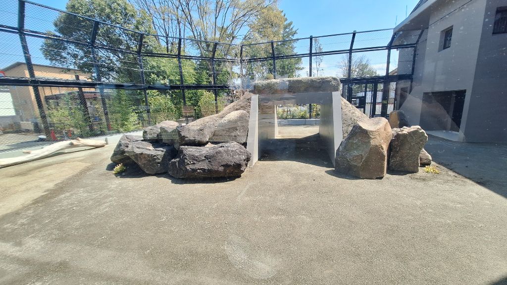 ライオン