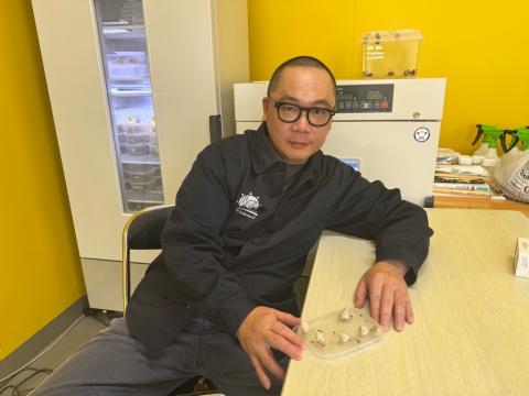 本田代表