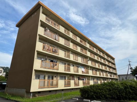 zenkoujigaikan