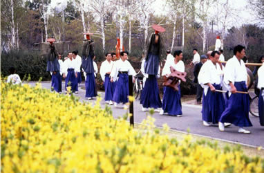 天津司舞1