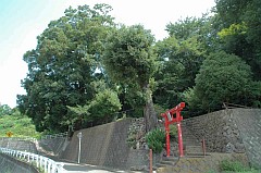 左口神社(さぐちじんじゃ)の画像