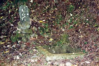 強清水(こわしみず)の画像