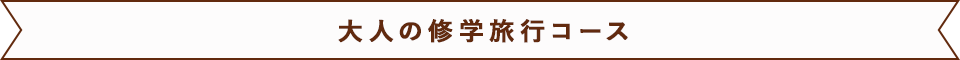大人の修学旅行コース