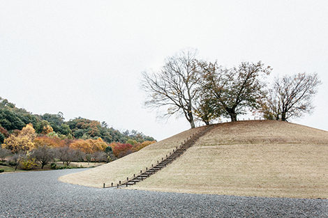 「山梨県曽根丘陵公園」で自然界の“気”を満喫する！